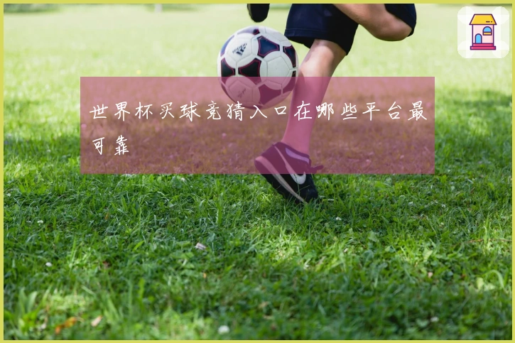 世界杯买球竞猜入口在哪些平台最可靠