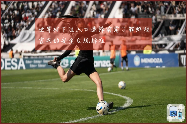 世界杯下注入口选择前需了解哪些官网的安全合规标准