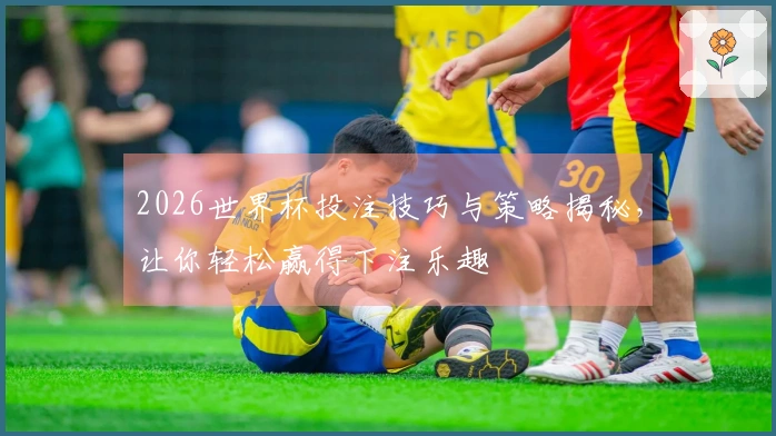 2026世界杯投注技巧与策略揭秘，让你轻松赢得下注乐趣