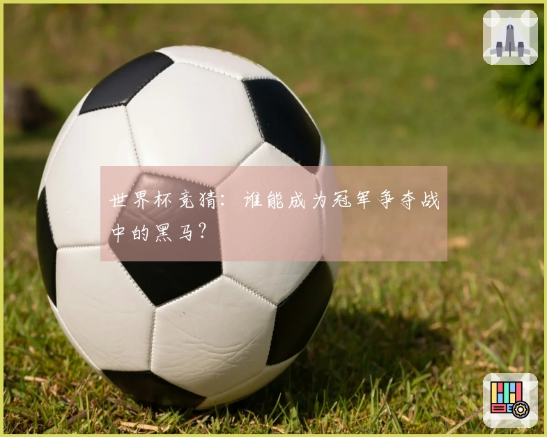 世界杯竞猜：谁能成为冠军争夺战中的黑马？