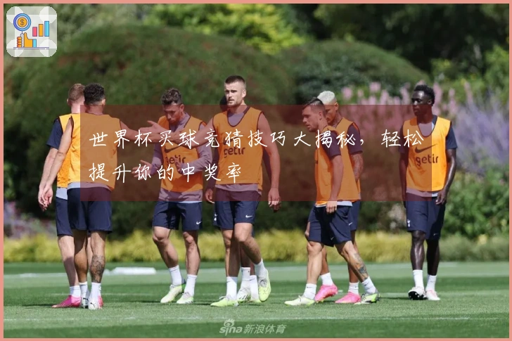 世界杯买球竞猜技巧大揭秘，轻松提升你的中奖率