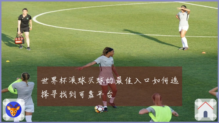 世界杯滚球买球的最佳入口如何选择寻找到可靠平台