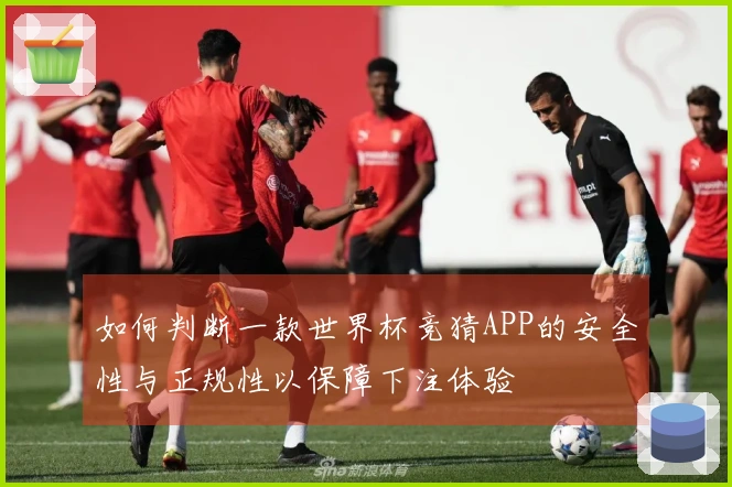 如何判断一款世界杯竞猜APP的安全性与正规性以保障下注体验