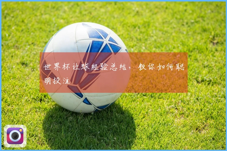 世界杯让球经验总结，教你如何聪明投注