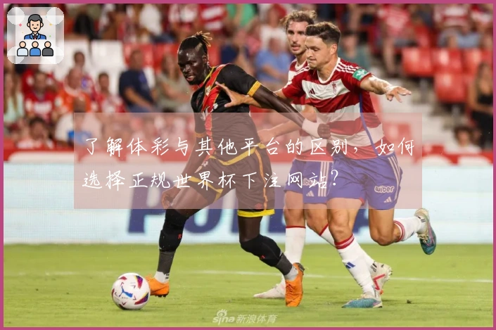 了解体彩与其他平台的区别，如何选择正规世界杯下注网站？