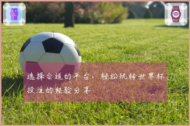 选择合适的平台，轻松玩转世界杯投注的经验分享