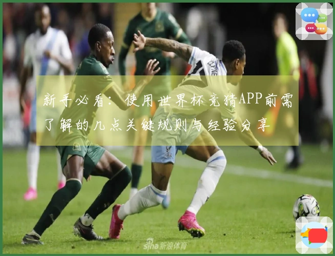 新手必看：使用世界杯竞猜APP前需了解的几点关键规则与经验分享