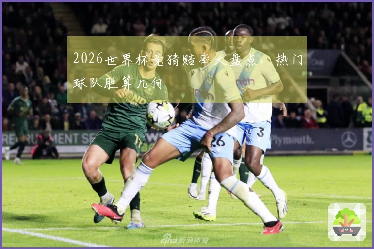 2026世界杯竞猜赔率大盘点，热门球队胜算几何
