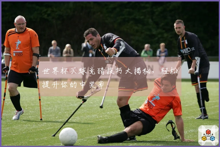 世界杯买球竞猜技巧大揭秘，轻松提升你的中奖率