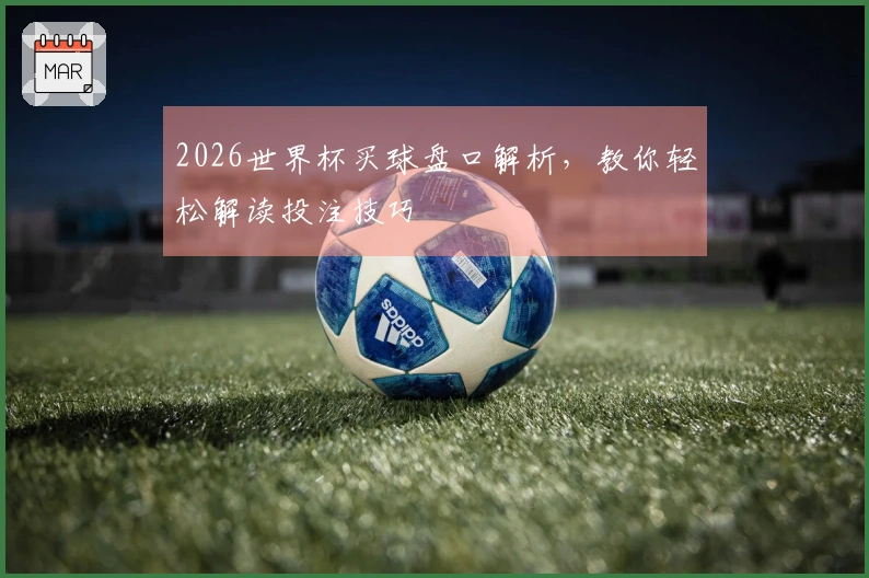 2026世界杯买球盘口解析，教你轻松解读投注技巧