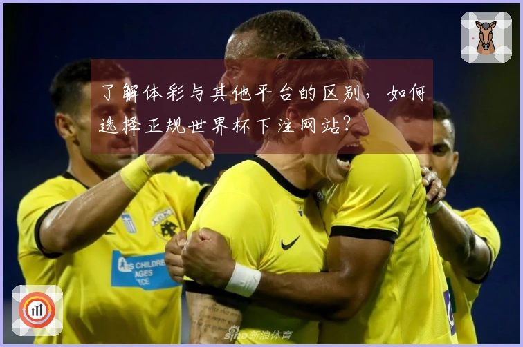 了解体彩与其他平台的区别，如何选择正规世界杯下注网站？