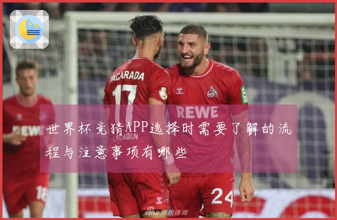 世界杯竞猜APP选择时需要了解的流程与注意事项有哪些