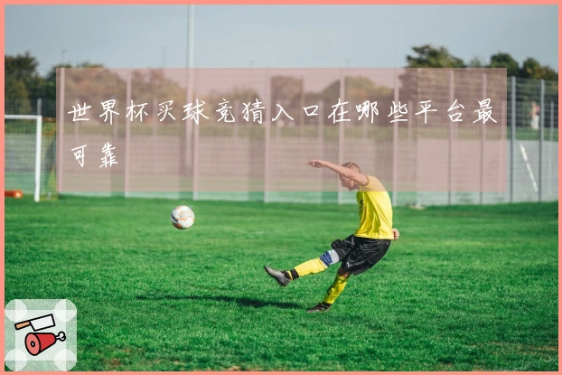 世界杯买球竞猜入口在哪些平台最可靠