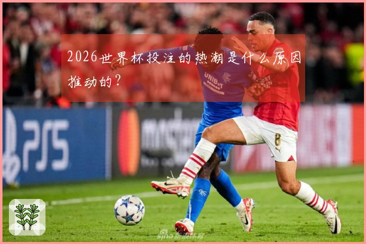 2026世界杯投注的热潮是什么原因推动的？