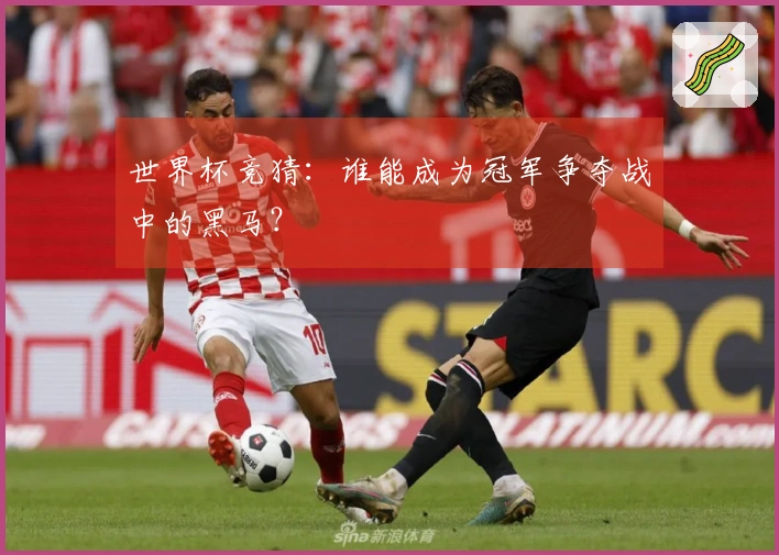 世界杯竞猜：谁能成为冠军争夺战中的黑马？