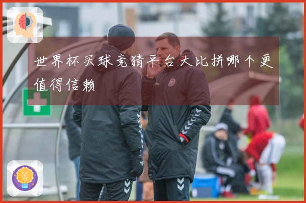 世界杯买球竞猜平台大比拼哪个更值得信赖