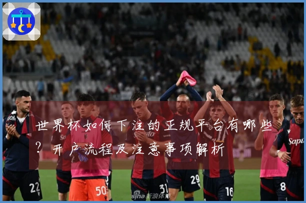 世界杯如何下注的正规平台有哪些？开户流程及注意事项解析
